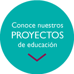 Conocé nuestros proyectos