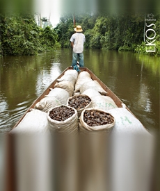 Hombre sobre una canoa con productos naturales de la selva navegando por un rio