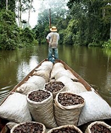 Hombre sobre una canoa con productos naturales de la selva navegando por un rio