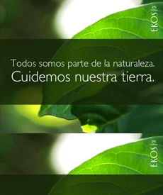 Primer plano imagen de una hoja de árbol. Todos somos parte de la naturaleza. Cuidemos nuestra tierra.