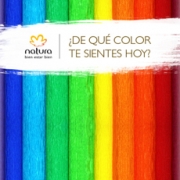 Franjas de colores en forma vertical. Invitando a descubrir el color que vive en ti